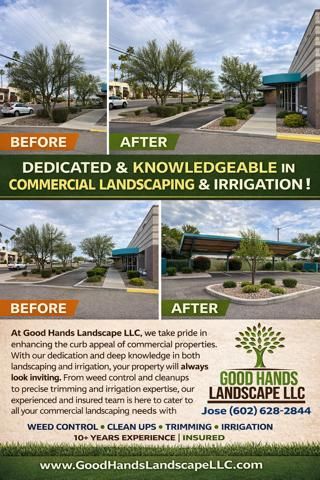 Tree Trimming for Good Hands Landscape in Maricopa, AZ