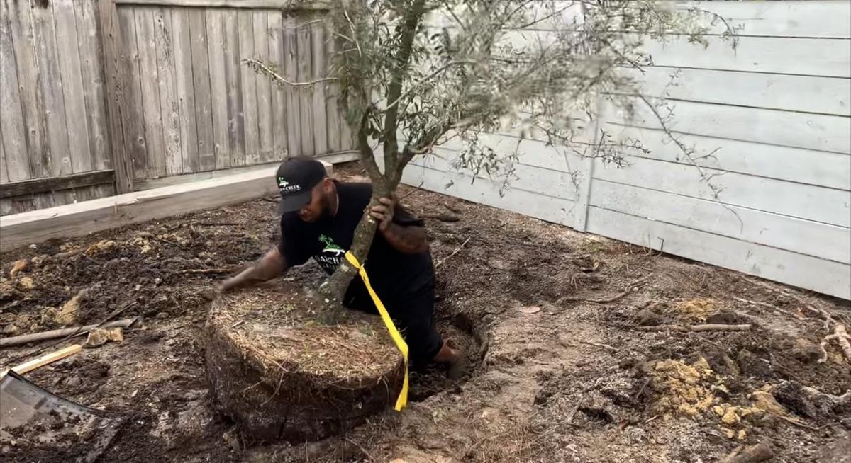 Fencing for Poarch Creek Landscaping in Santa Rosa Beach, FL