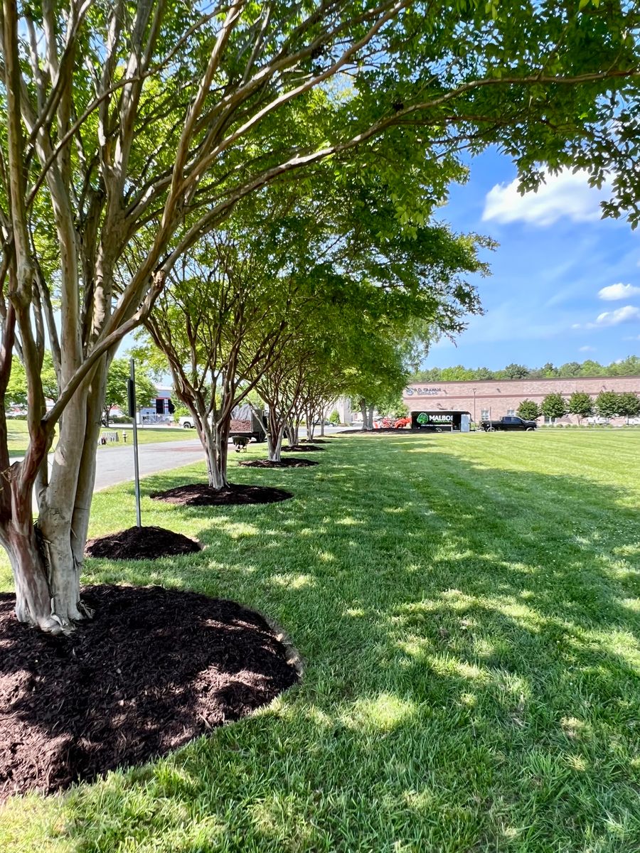 Commercial Full Service Maintenance for Malboeuf Landscaping, Inc in Kernersville, NC