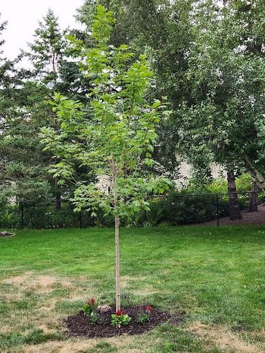 Mulch Installation for K & I Lawn Care Service  in Eden Prarie, MN