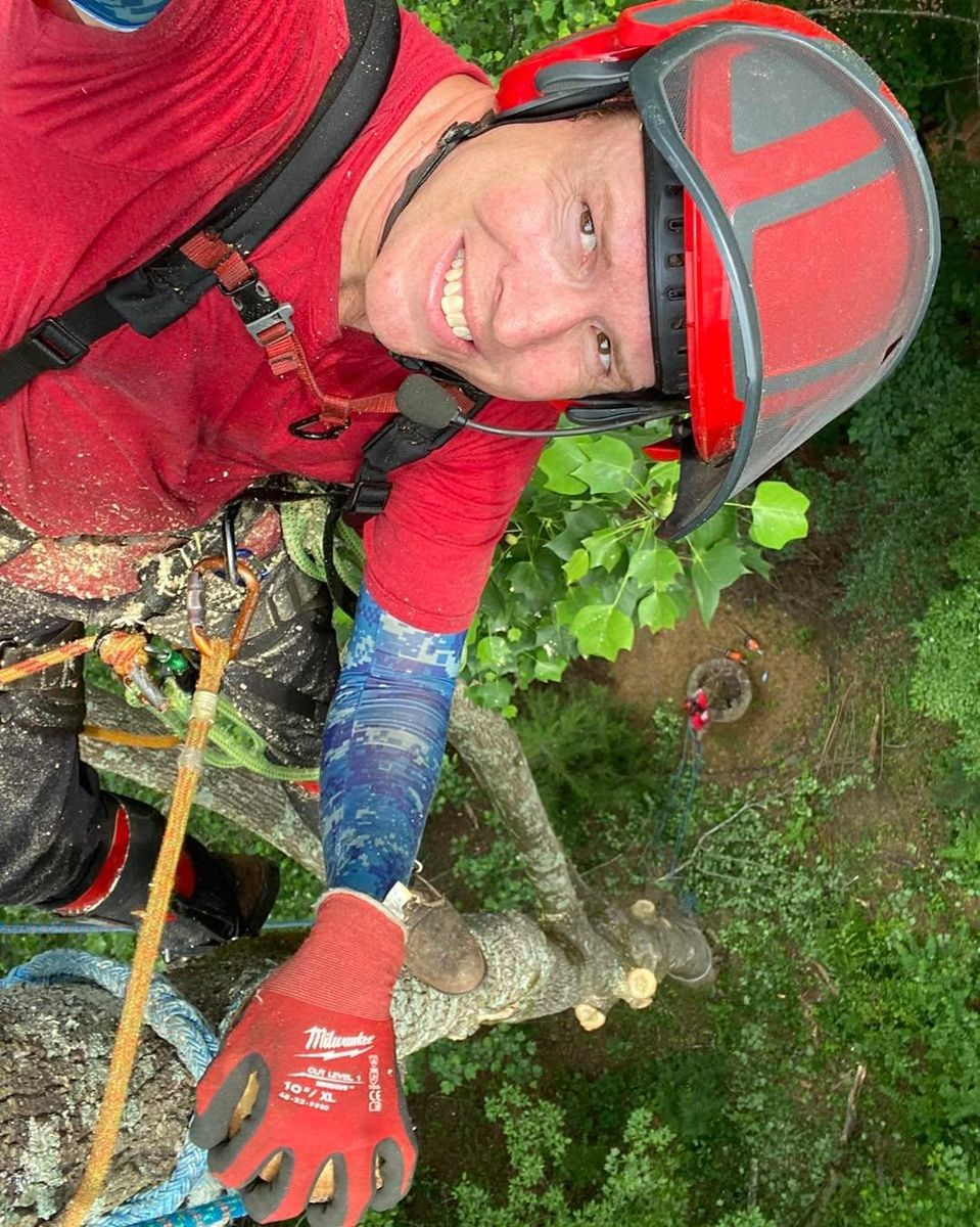 Tree Removal for Pinedown LLC in Cherokee County, GA