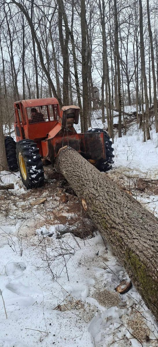 Timber Management for God's Country Timber Management in Hillsdale, MI