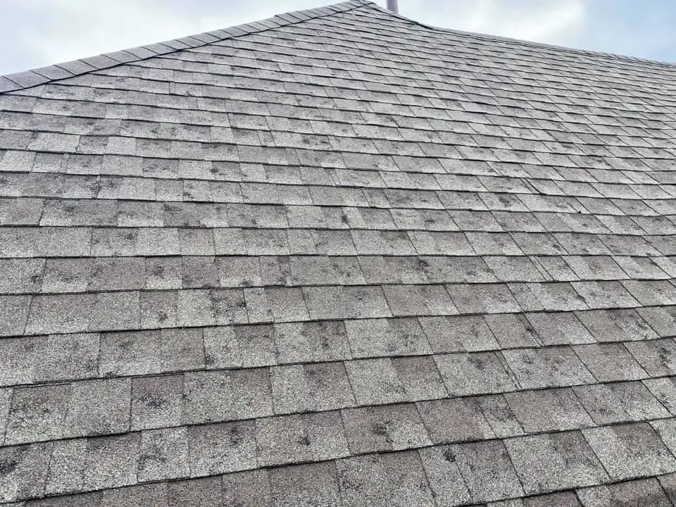 Storm Damage Assistance for Performance Roofing of Colorado in Columbine, CO