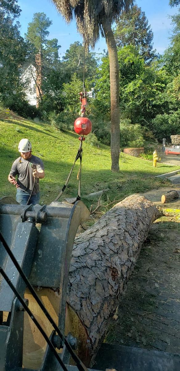 Tree Removal for Trees Unlimited of the CSRA in Augusta, GA
