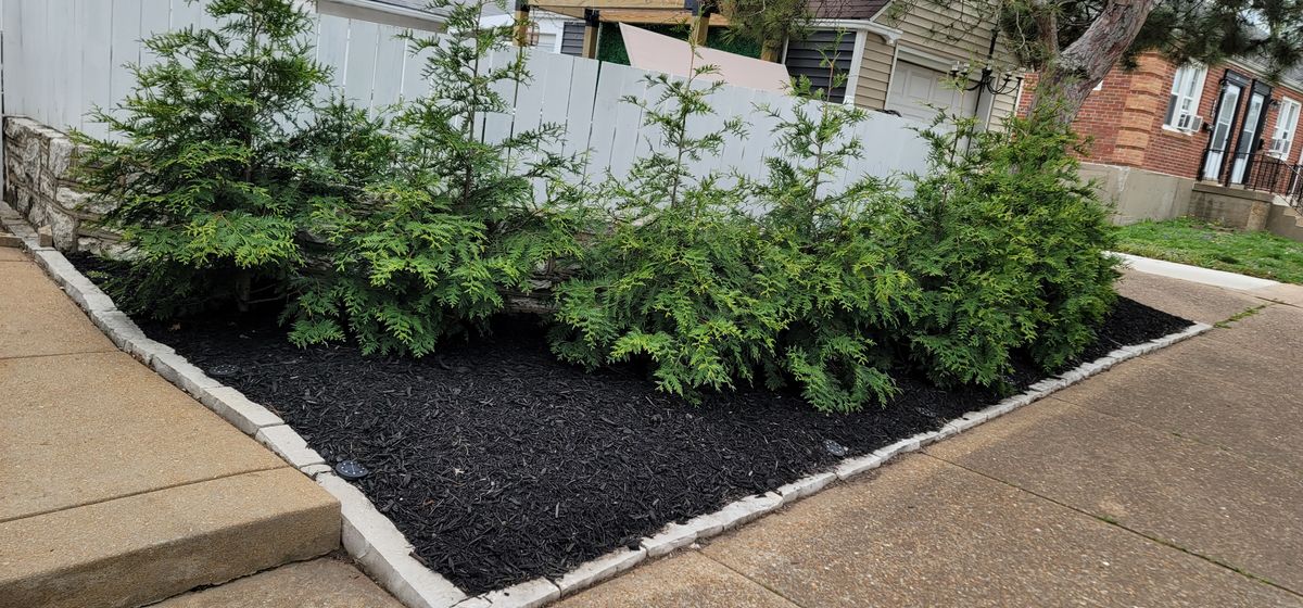 Landscape Installation for VQ Land & Stone in St. Louis, MO