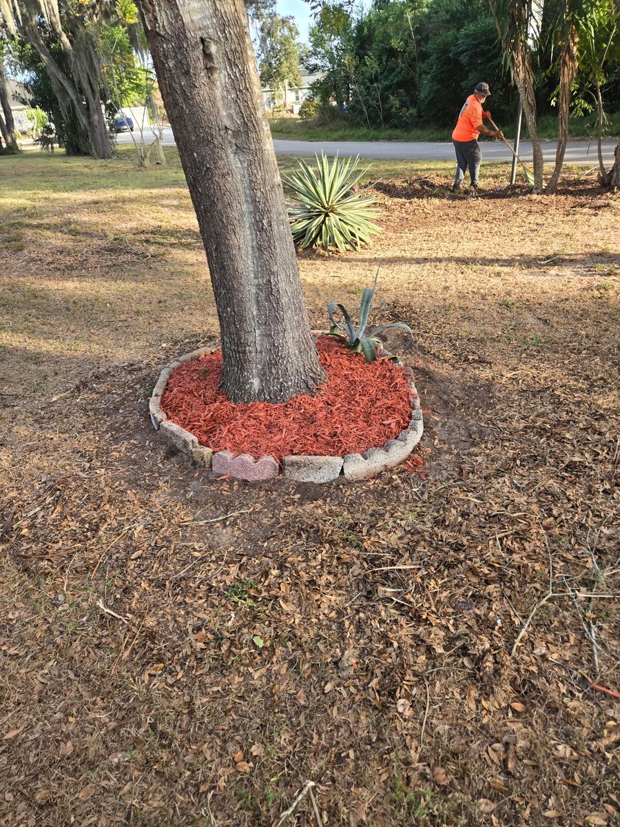 Tree and Hedge Care for Above the Lawn Cuts and Pressure Washing in Sebring, FL
