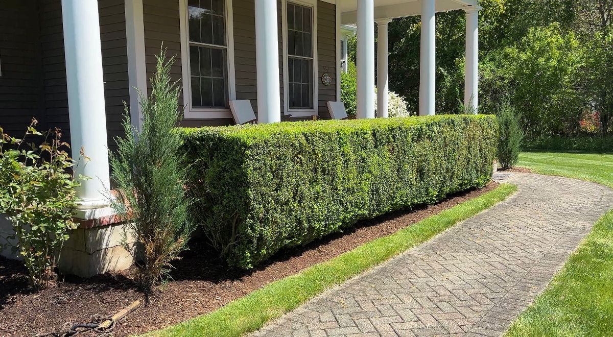 Hedge Trimming for Emerald Exterior Property Management in Old Lyme, CT