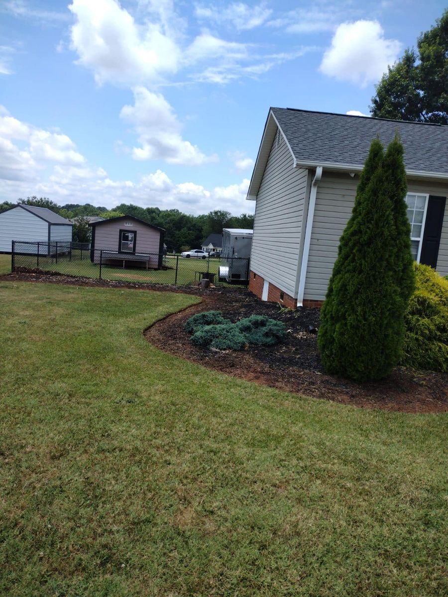 Tree & Shrub Planting for Upstate Precision Landscaping in Moore, SC