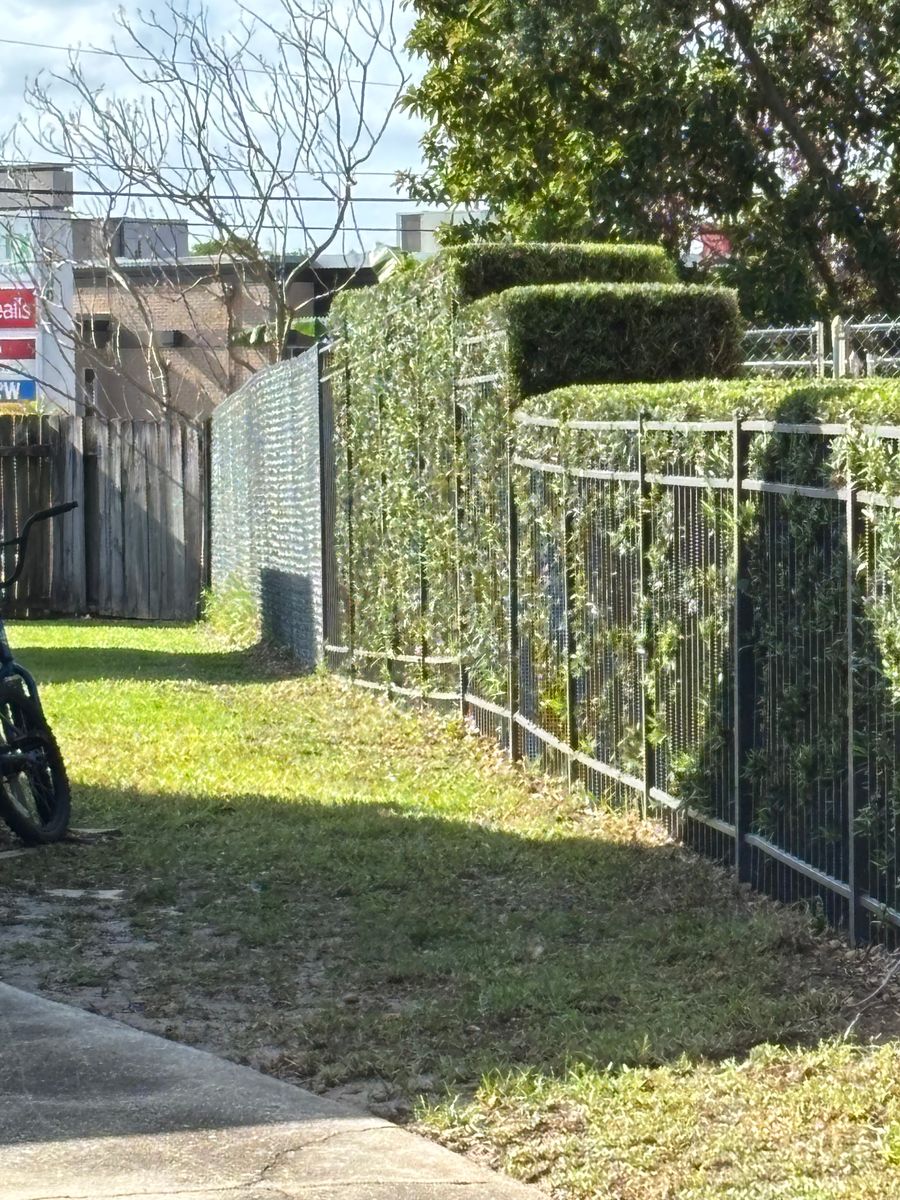 Tree Trimming for Space Coast Property Maintenance and Management LLC in Melbourne, FL