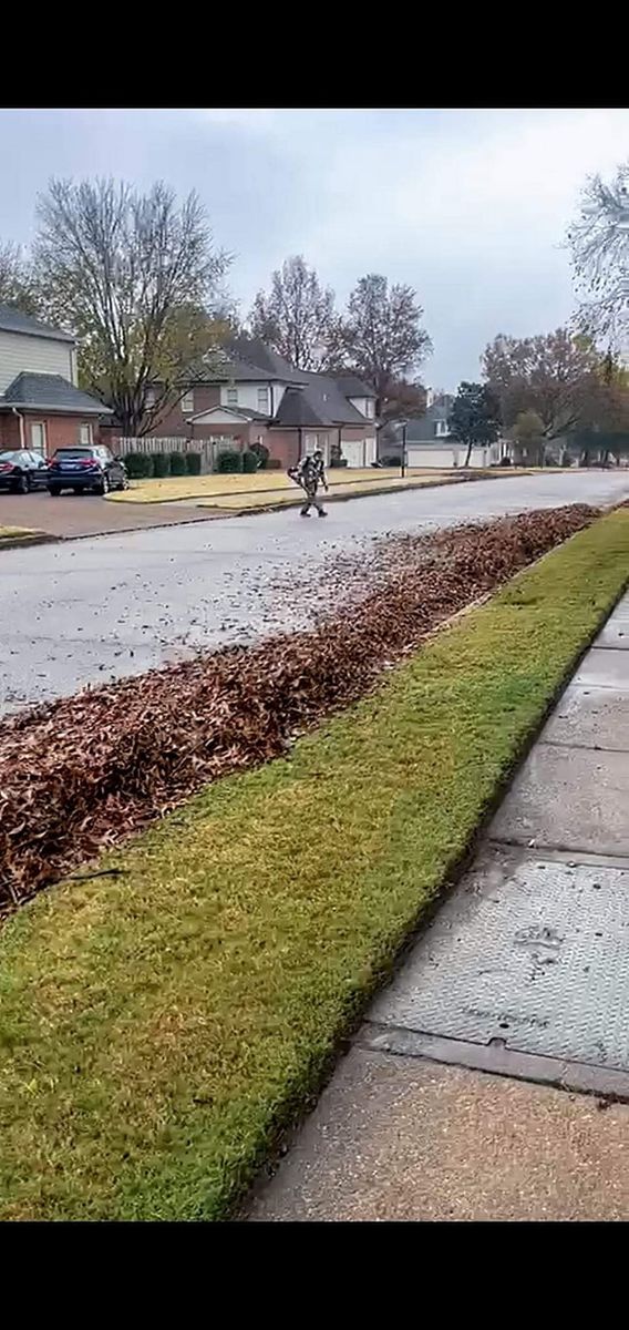 Other Lawn Services for Big Guy's Lawn Care & Landscaping Services in Memphis, TN