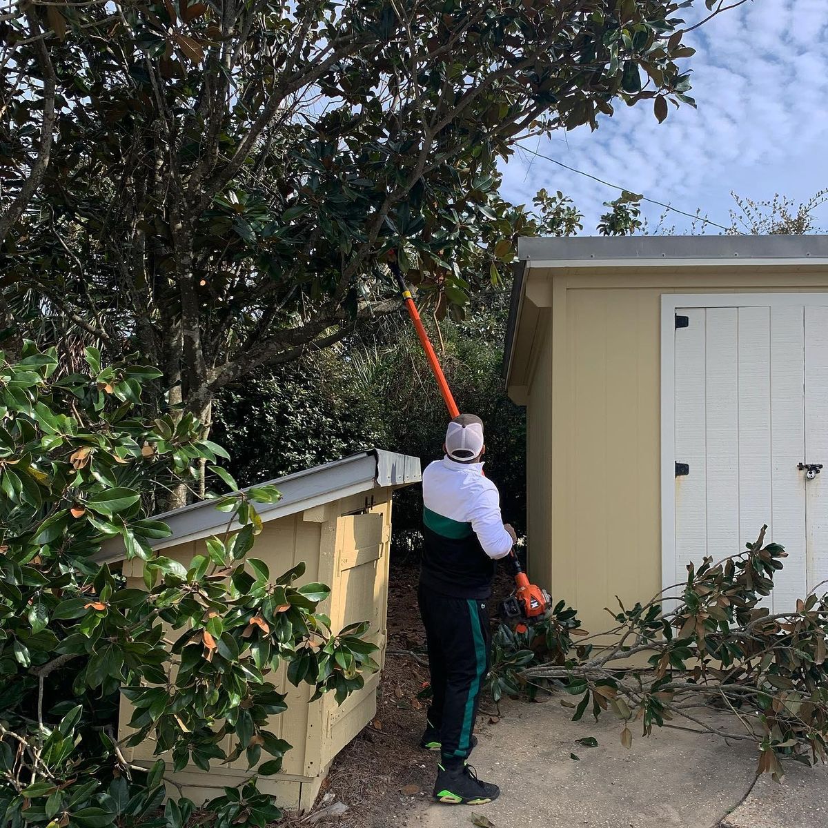 Tree Trimming for Poarch Creek Landscaping in Santa Rosa Beach, FL
