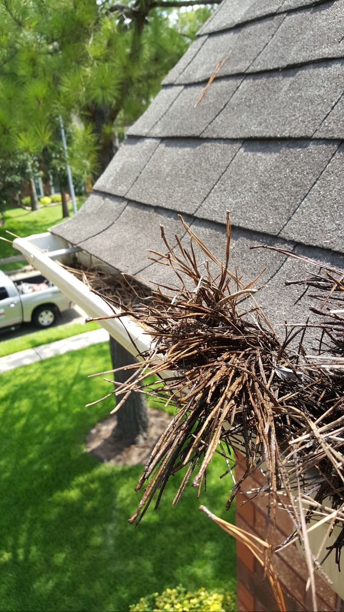 Gutter Cleaning for Power Pressure Wash in Houston, TX