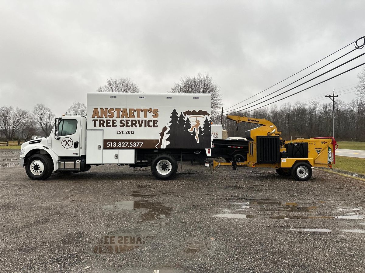 Tree Removal for Anstaetts Tree Service in Batavia, OH