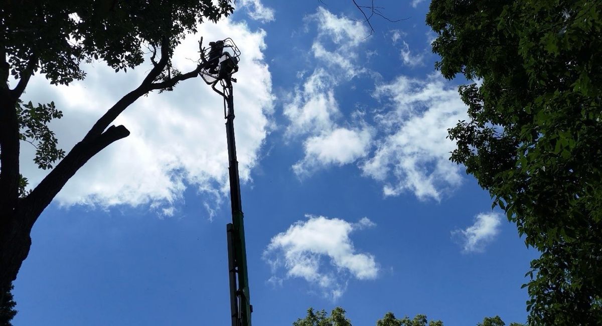 Landscaping Services for DGD Outdoor Services LLC in Howell, MI