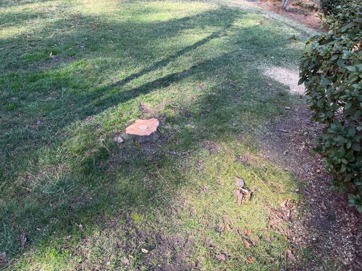 Landscaping for Tidewater Tree Service in Chesapeake, VA