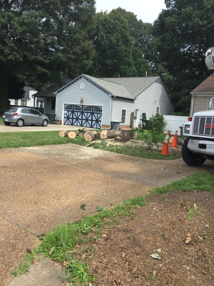 Stump Grinding for Big Bear Tree Service in Newport News, VA