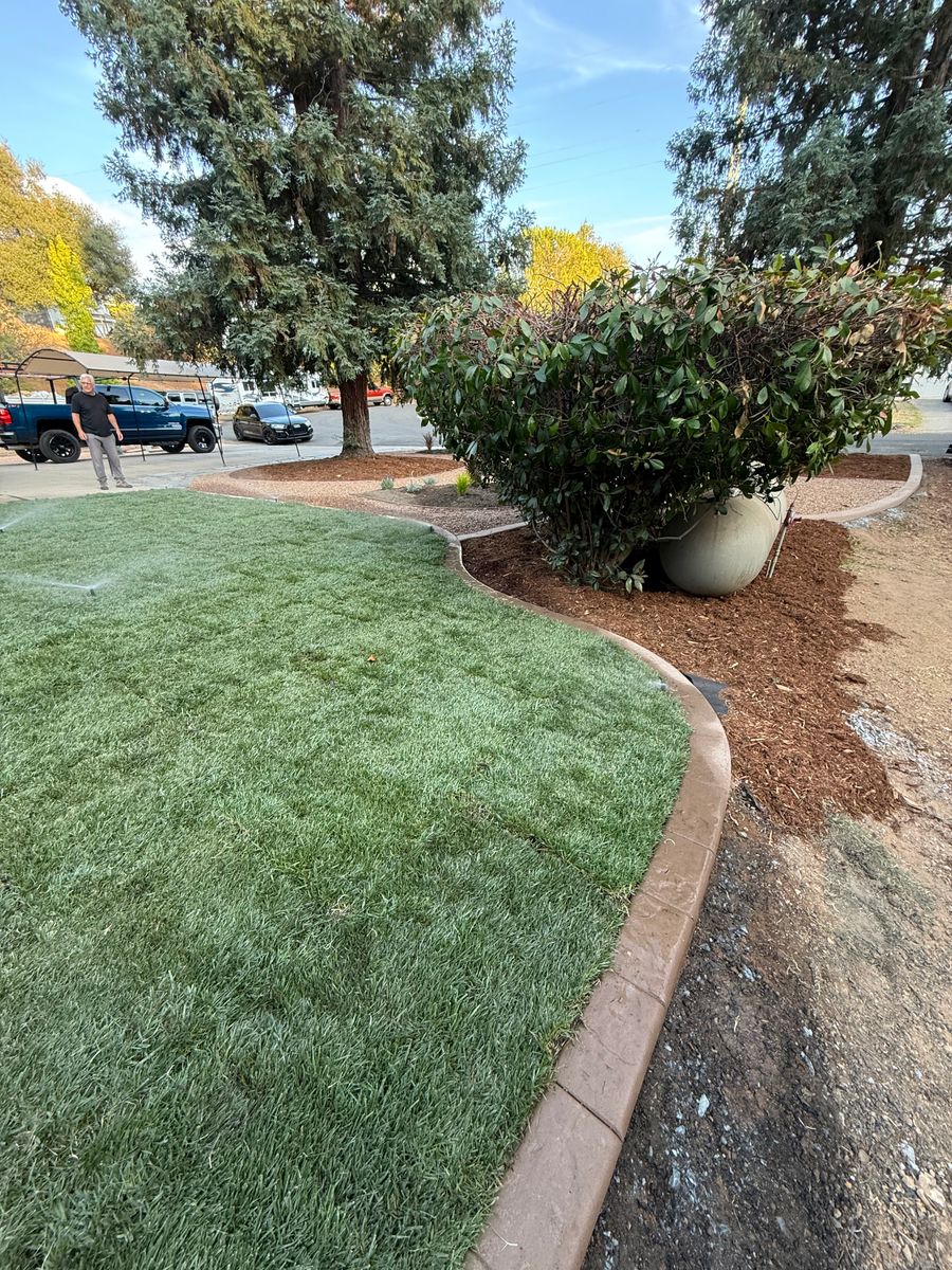 Landscape Installation for Diamond Landscape & Hardscape in Diamond Springs, CA