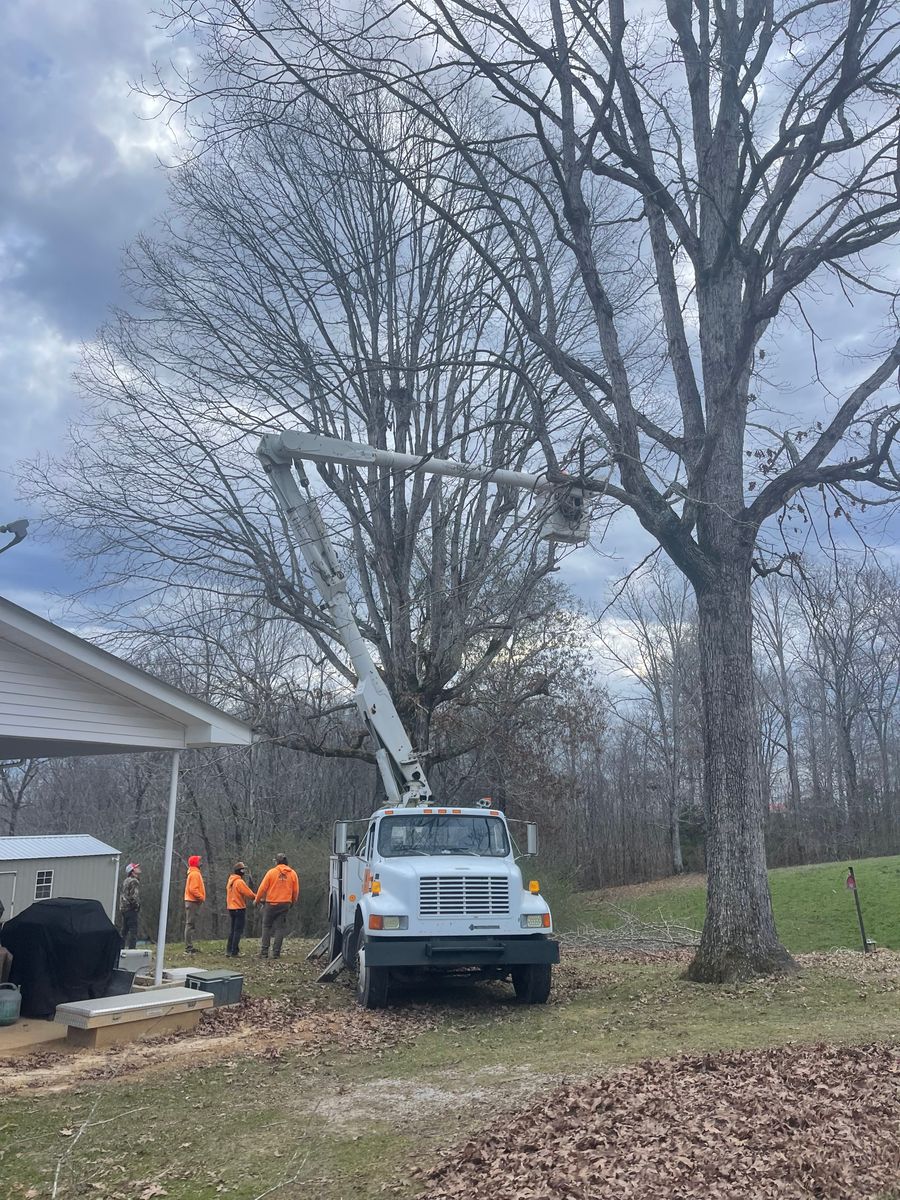 Tree Removal for Ross Family Tree Service LLC  in Hohenwald, TN