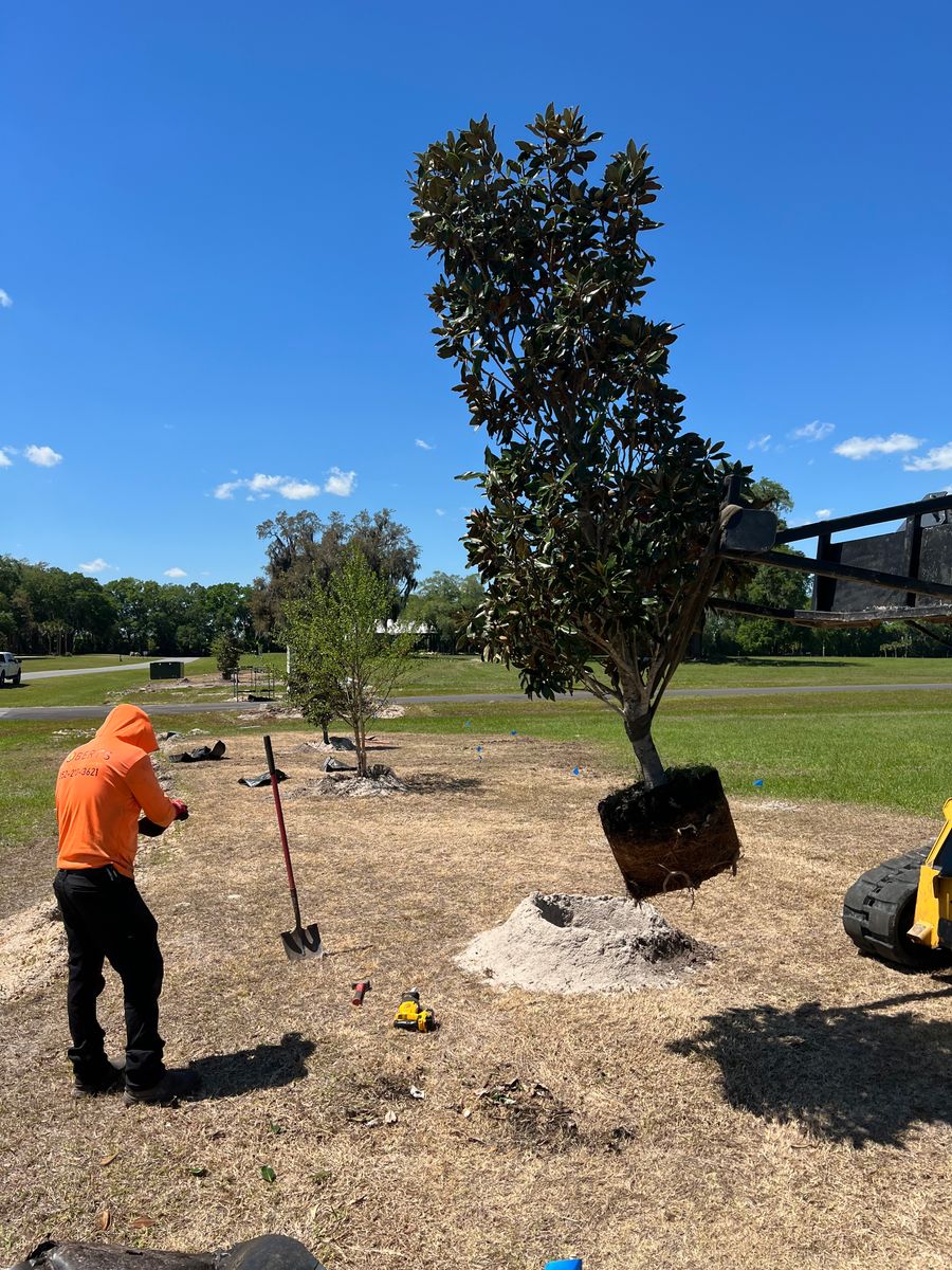 Landscape Design and Installation for Roberts Lawn & Landscape in Cross City, FL