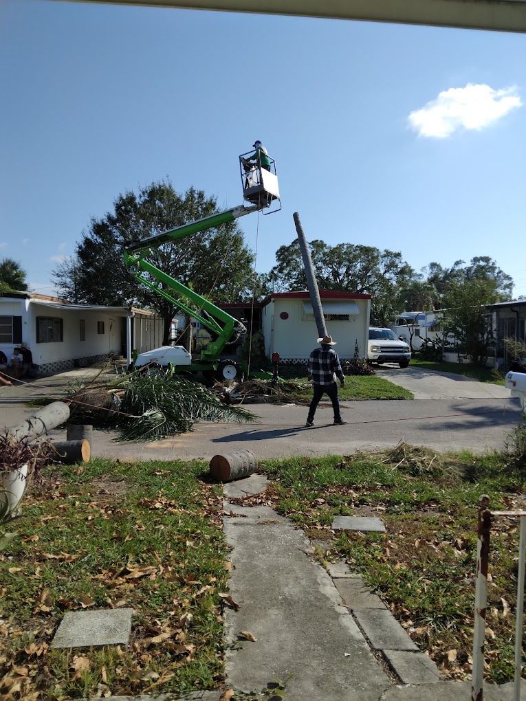 Tree Trimming for Busy Beaver Stump Removal, Inc in Clearwater, FL