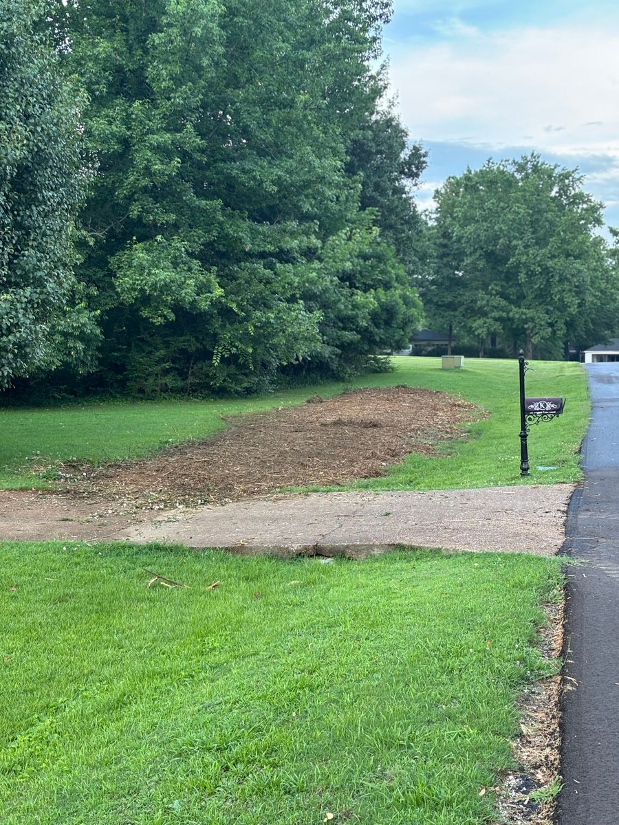Forestry Mulching for Simmons land works in Sardis,, TN