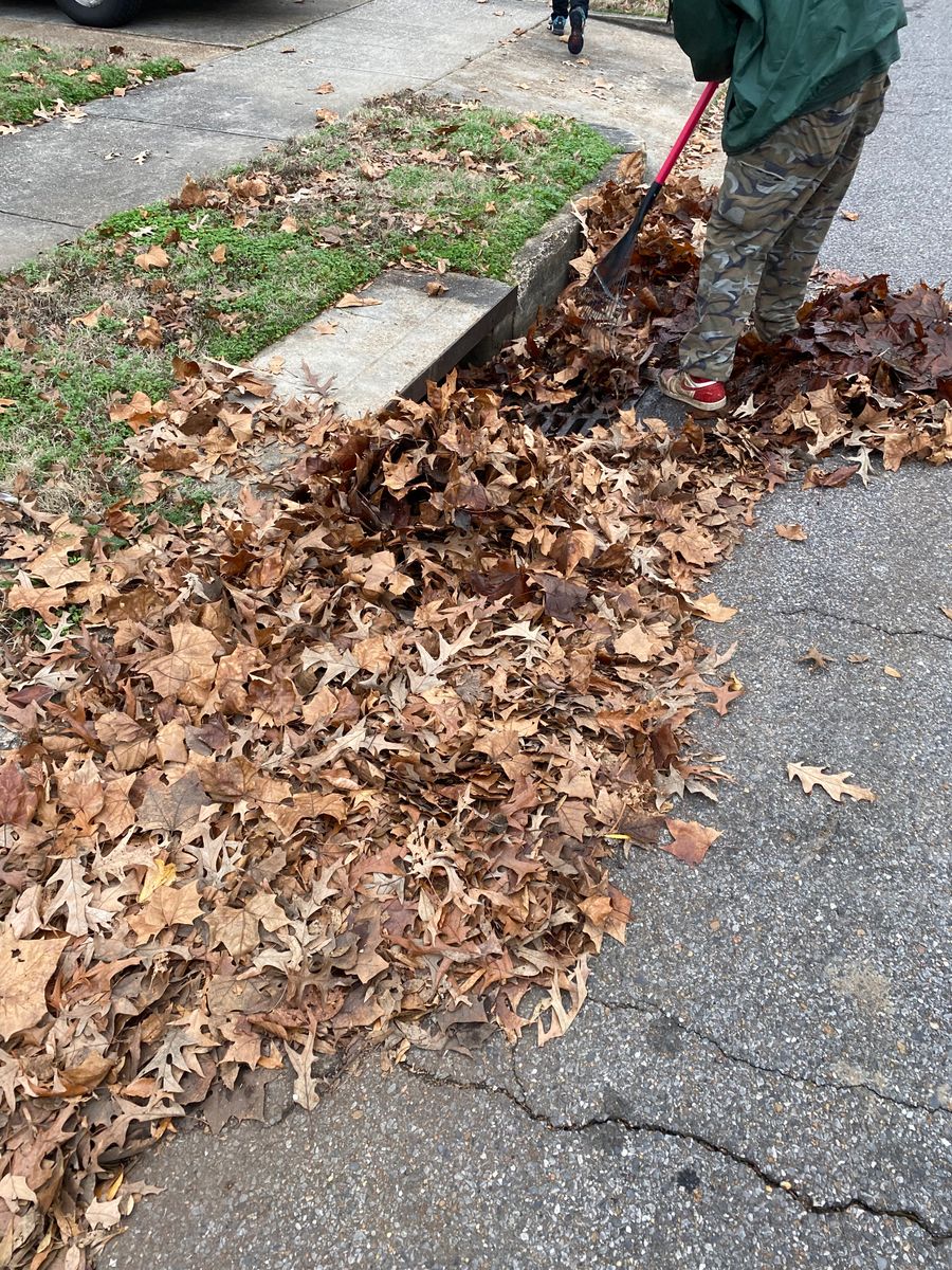 Leaf removal for Kingdom Landscaping in Memphis, TN