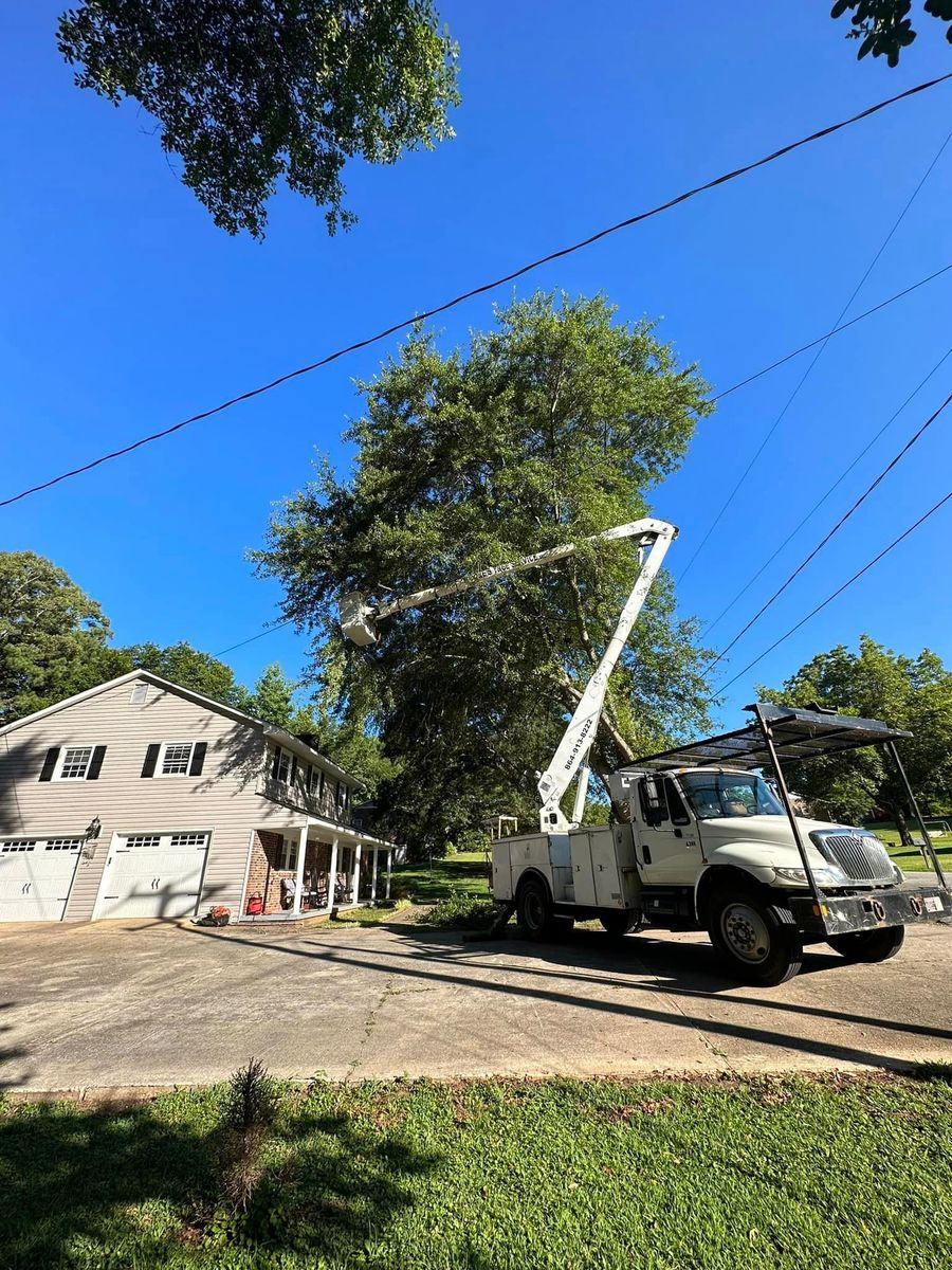 Tree Removal for Moore’s Tree Service in Chesnee, SC