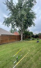 Tree Trimming for Imber’s Tree Service LLC in Arlington, TX