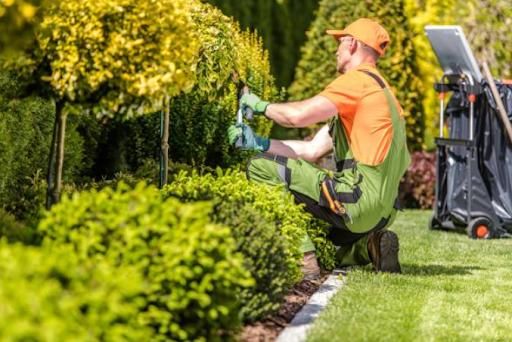 Turf Maintenance & Repairs for Grand Design Outdoor Enhancements in Raleigh, NC