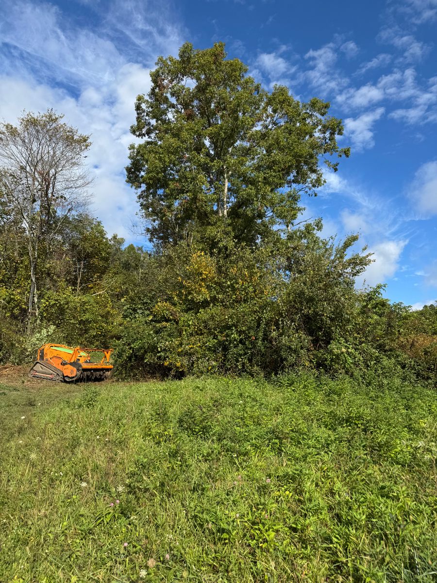 Reclaim Land for Mountain Goat Land Management in Galax, VA