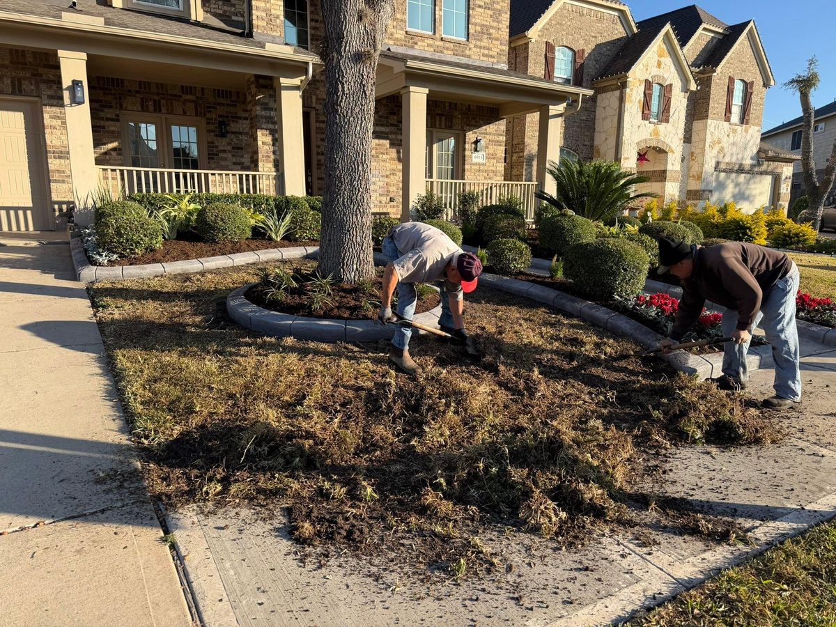 Landscaping for Texas Curb N Borders in Houston, TX