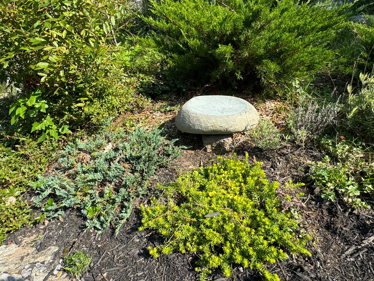 Garden Design Consultation for Natural Roots in Georgetown, ME