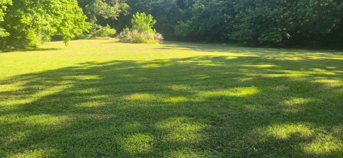 Mowing for Fresh Cut Yard & Lawn Care LLC in Forsyth, GA