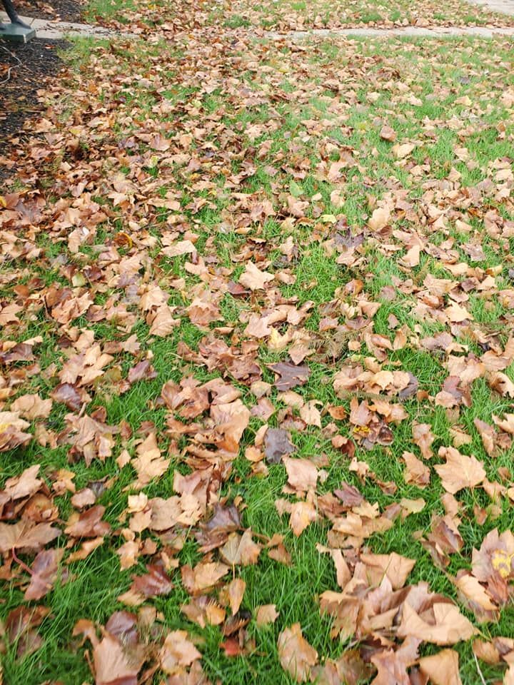 Fall and Spring Clean Up for Trippin A-Lawn in Bethlehem, PA