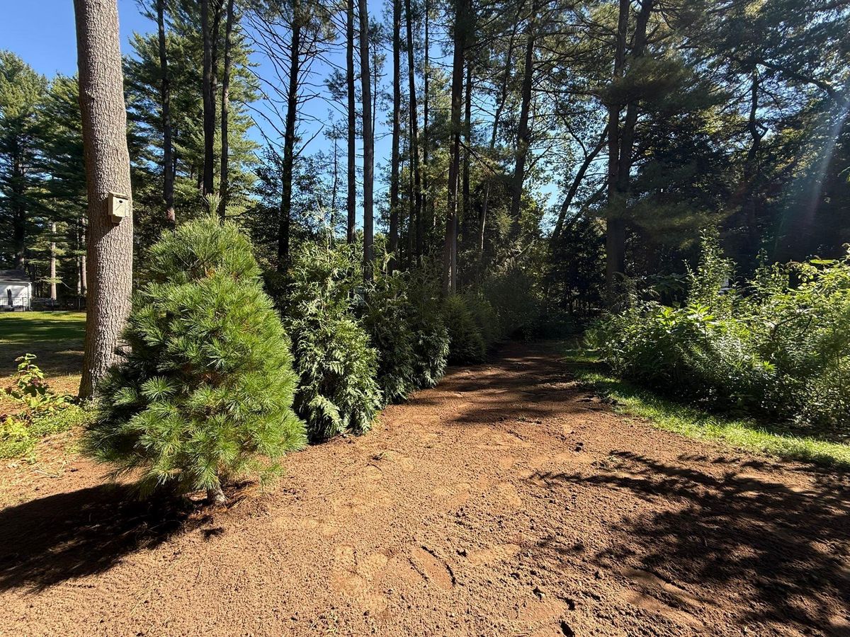 Land Clearing & Yard Expansion for Lennon Land Management in Suffield, CT