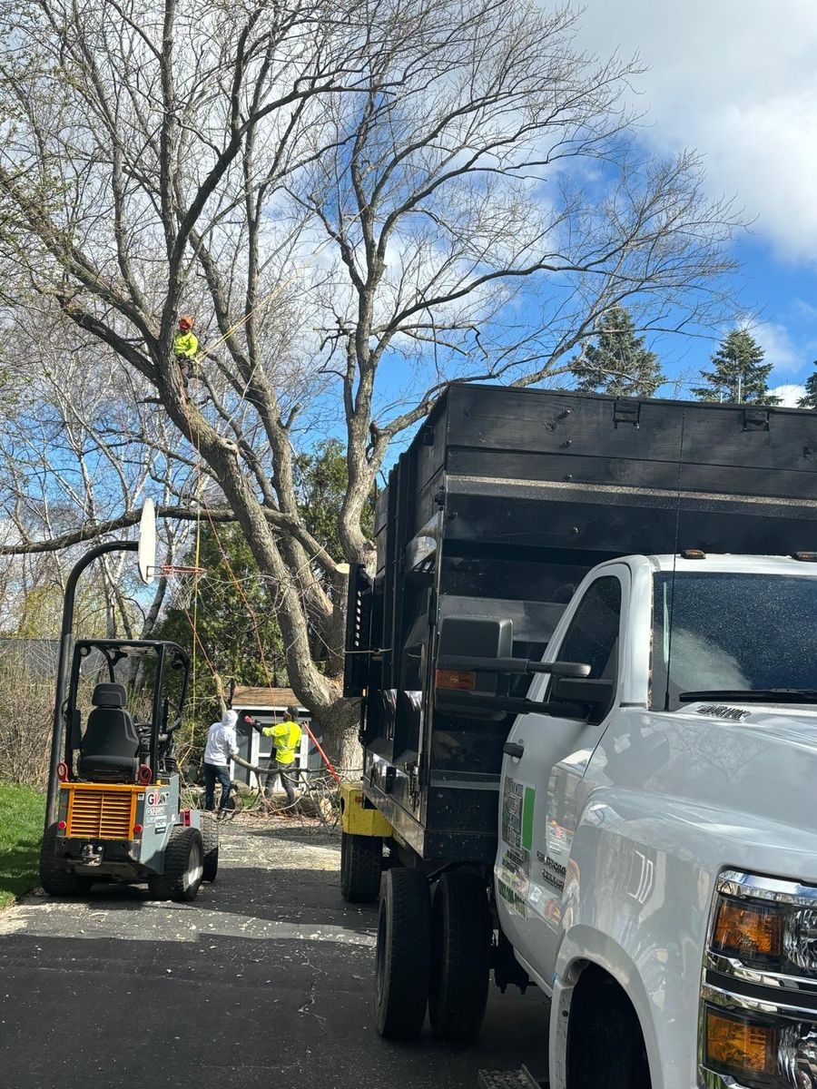 Tree Removal for Oakwood Tree Removal LLC in Oak Creek,  WI
