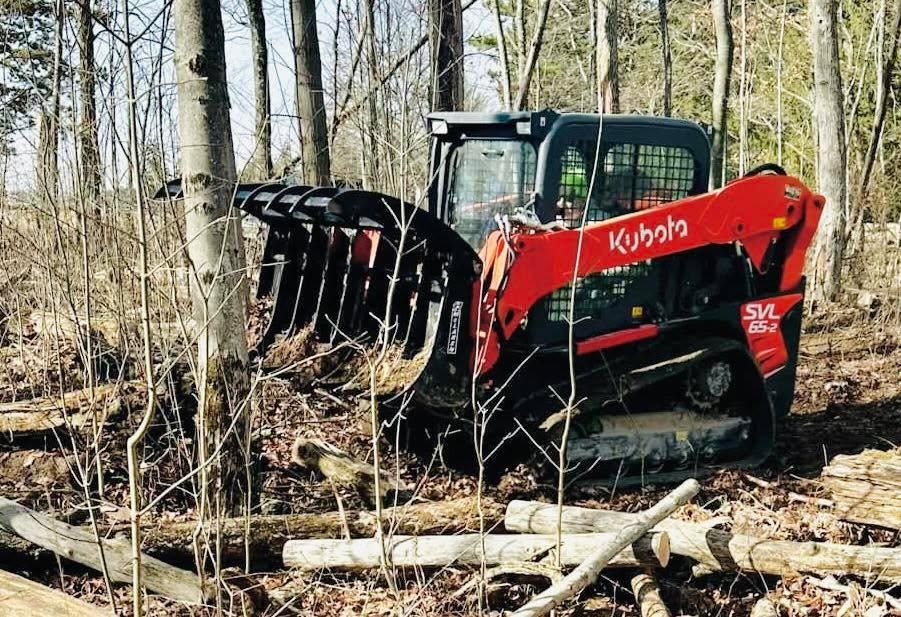 Downed Tree and Brush Cleanup for Seals Outdoor Services in Perrysville, OH