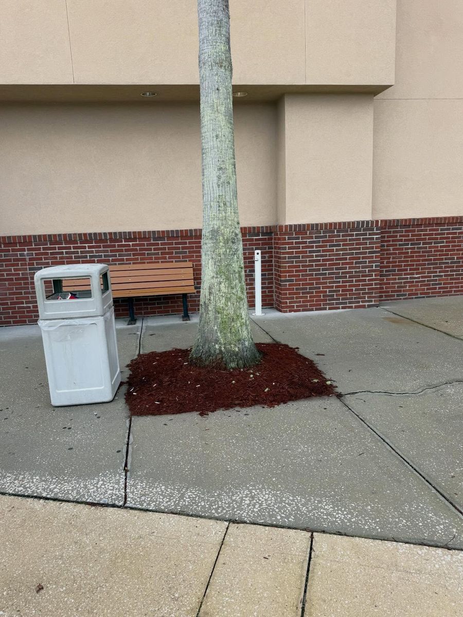 Mulch Installation for Whole 9 Yards Services LLC in Green Cove Springs, FL