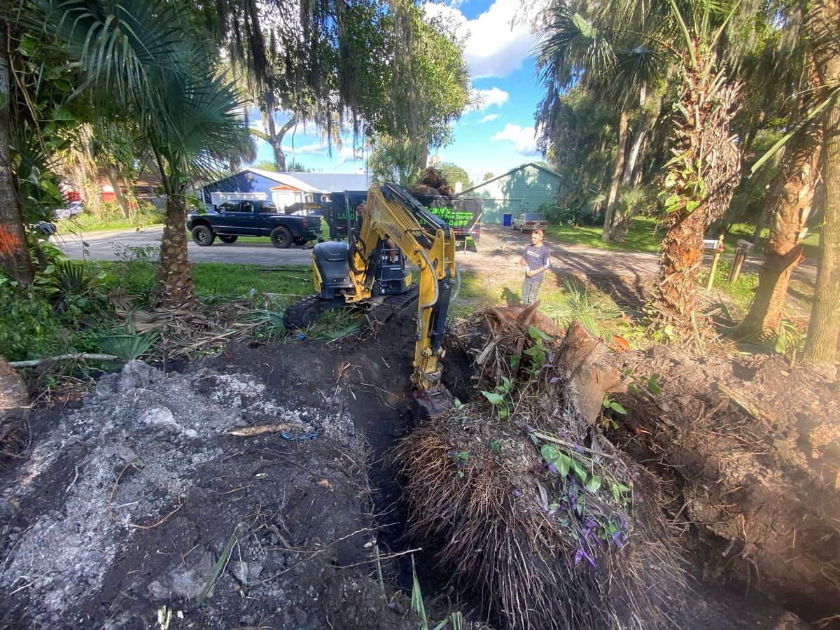 Stump Removal for McGraw’s Lawn and Tree Service in DeLand, FL