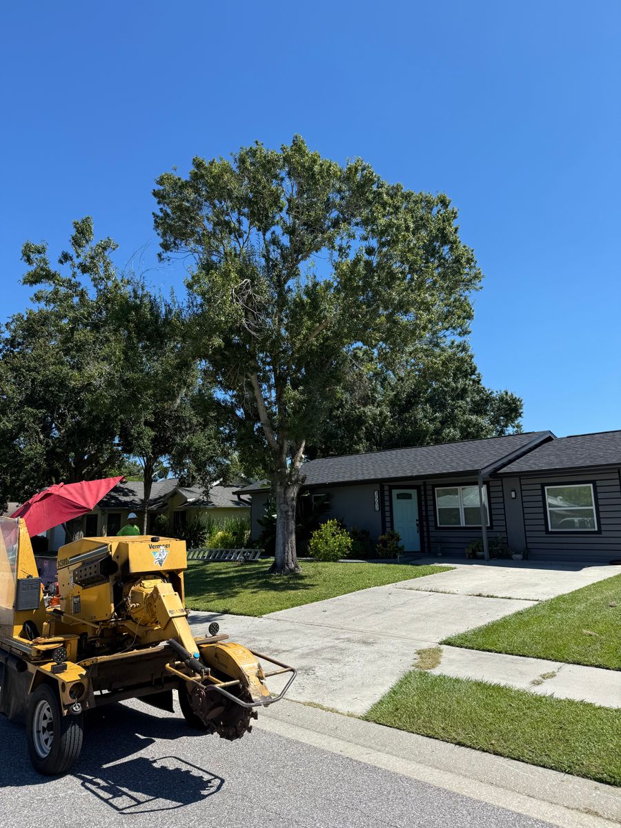Stump Removal for Damian’s Tree Care in Sarasota, FL