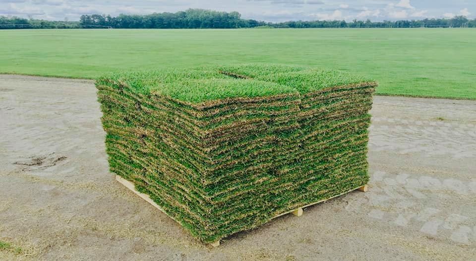 Sod Installation for Del Real Landscape Contractors LLC in Del Rio, TX