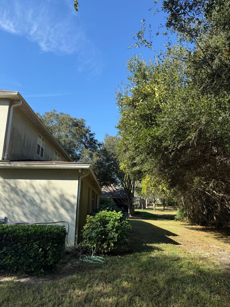 Tree Pruning for Amerigrown Tree And Lawn in Apopka, FL