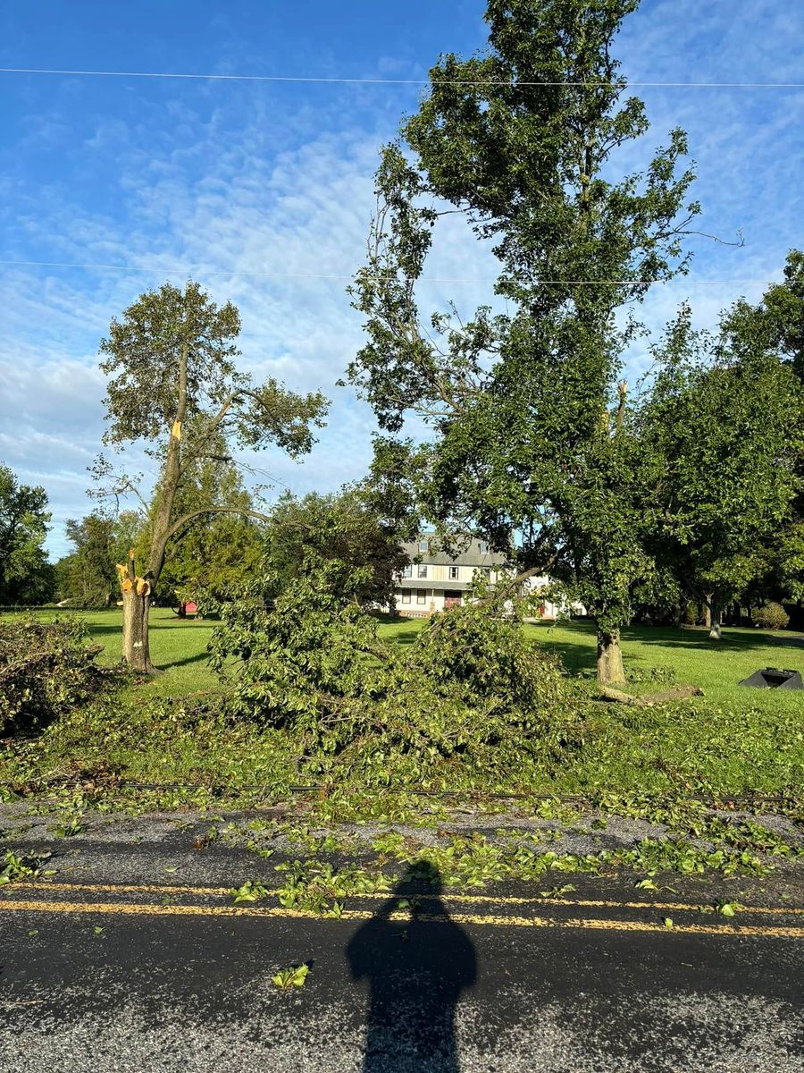 Tree Removal for Melnyk’s Tree Service in Salem County, NJ