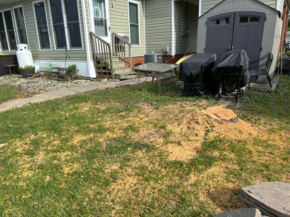 Tree Trimming/Tree Removal for Top Notch Landscape in Sneads Ferry, NC