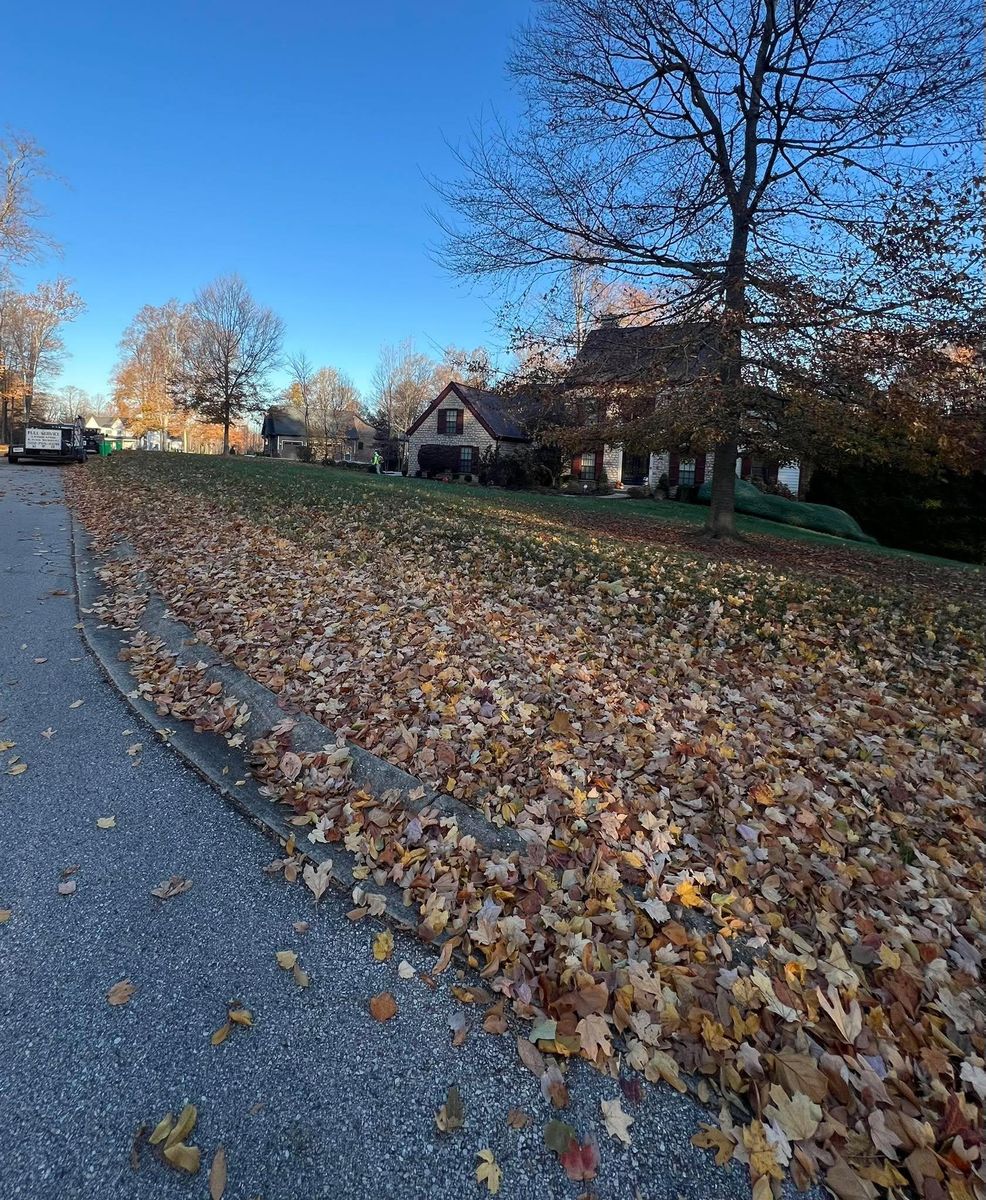 Fall Clean Up for Full Service Landscaping in Louisville, KY