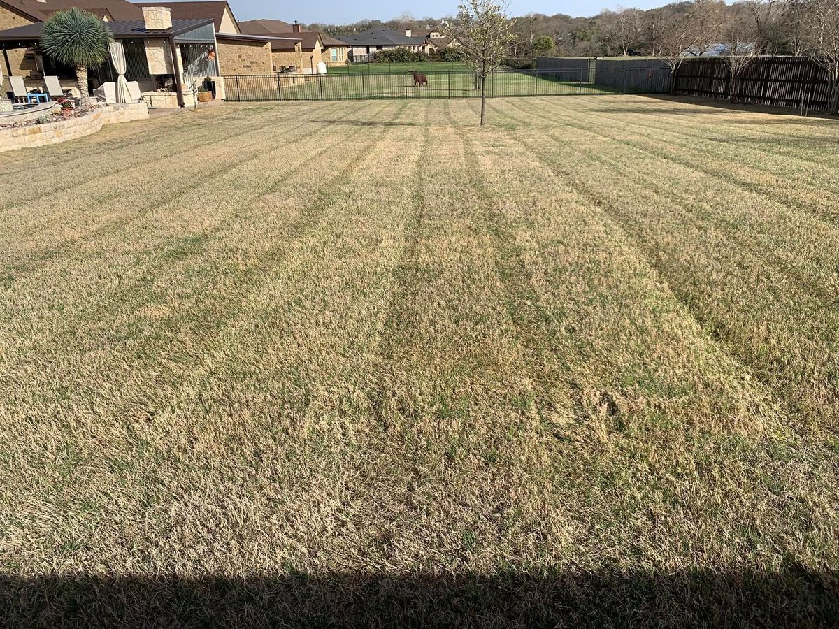 Mowing for Scalpel Lawn Service in Temple, TX