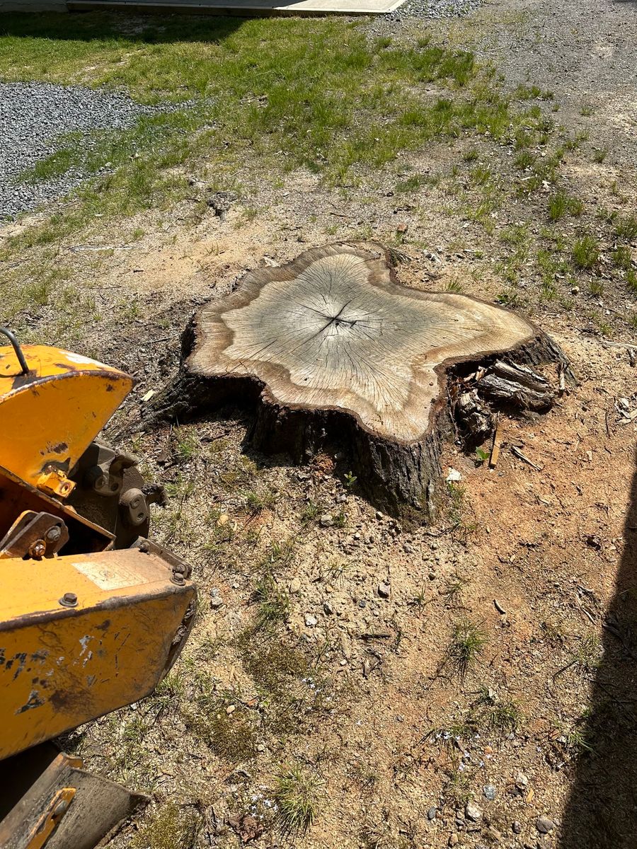 Stump Removal for G. White Construction, LLC in Orange, VA