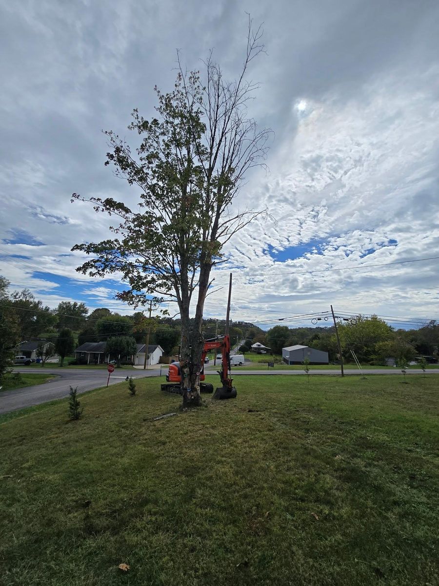 Land clearing for M&L Lumber and Excavating in Jonesborough, TN