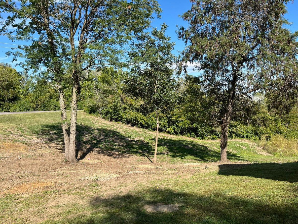 Land Clearing for Cross Family Tree Service in Kearney, MO