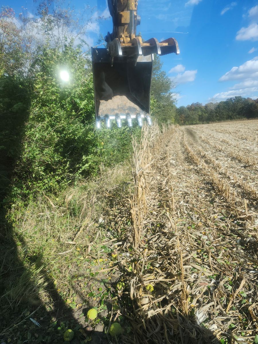 Land Clearing & Demolition for BDS Trucking & Excavating in Litchfield, IL